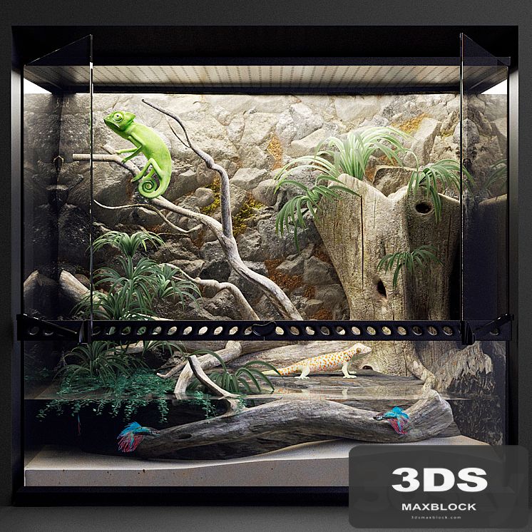 Terrarium