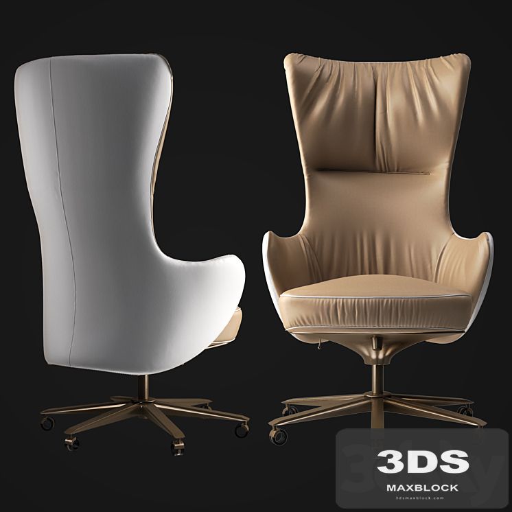 Giorgetti Genius office armchair