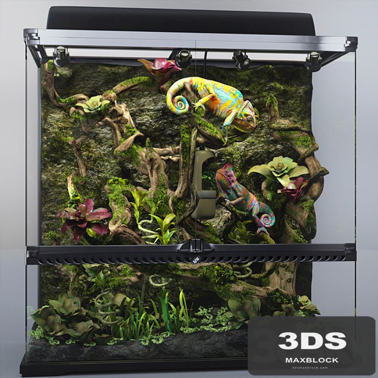 Terrarium Exo-terra with chameleons