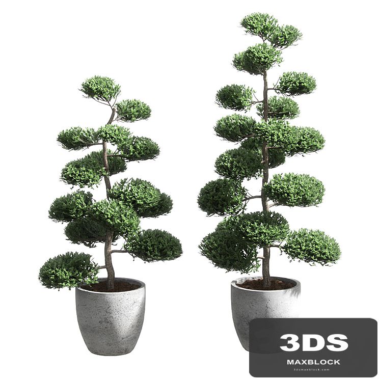 Bonsai with spherical branches. 2 models