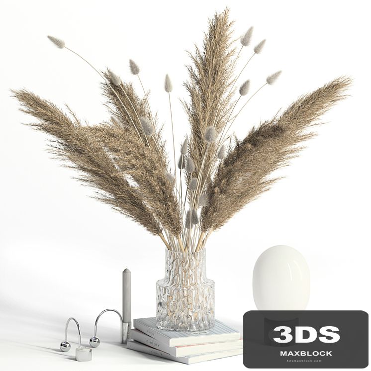 Lagurus, pampas grass and Co