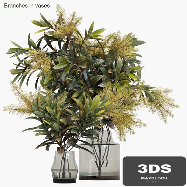 Branches in vases # 10