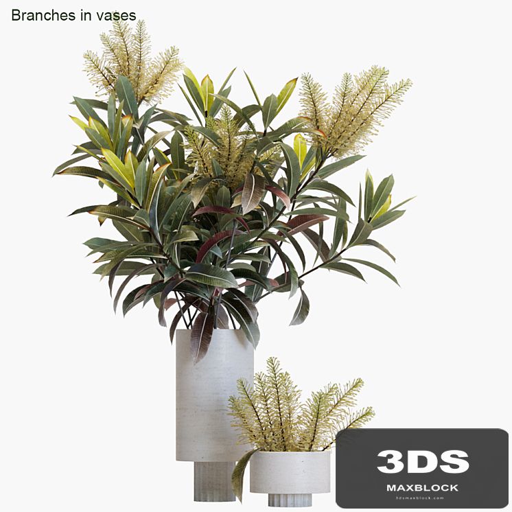 Branches in vases # 12