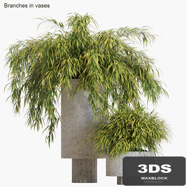 Branches in vases # 14: Hakonechloa