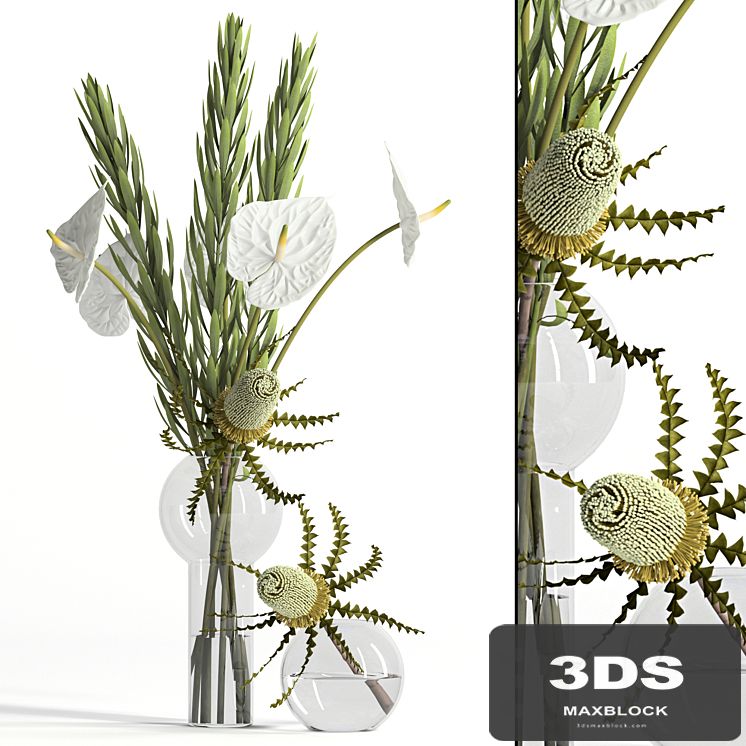 Banksia, anthurium and Leucadendron