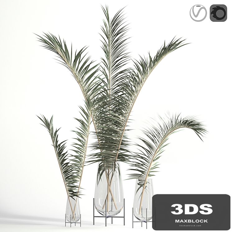 Dry palm leaves in Echasse vases