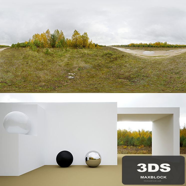 HDRi autumn forest
