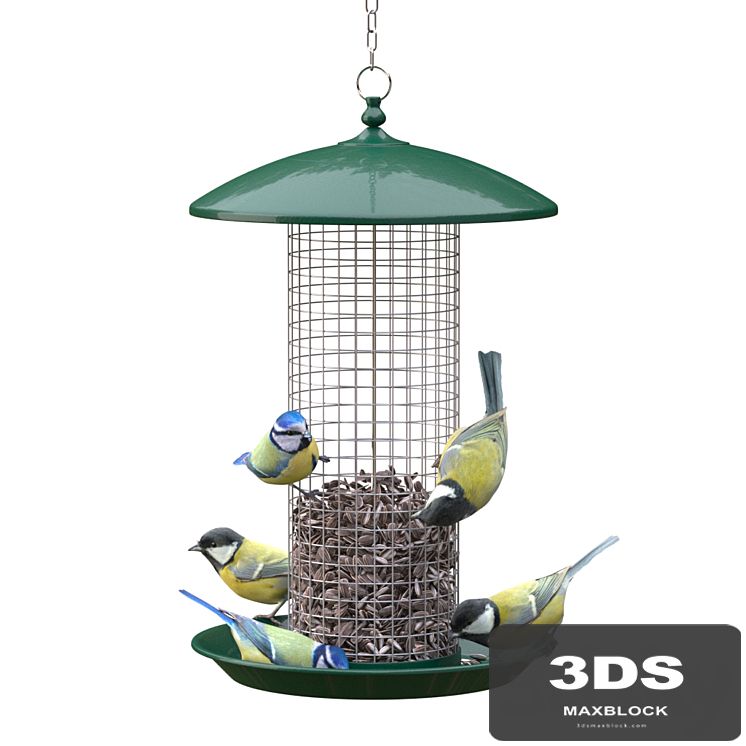 Great Tits and Blue Tits at bird feeder