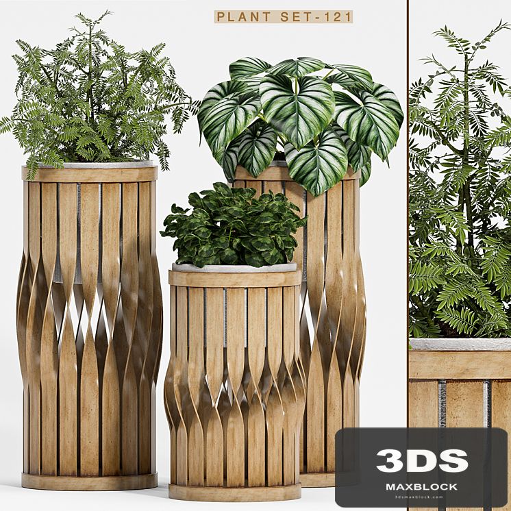 Plant set-121
