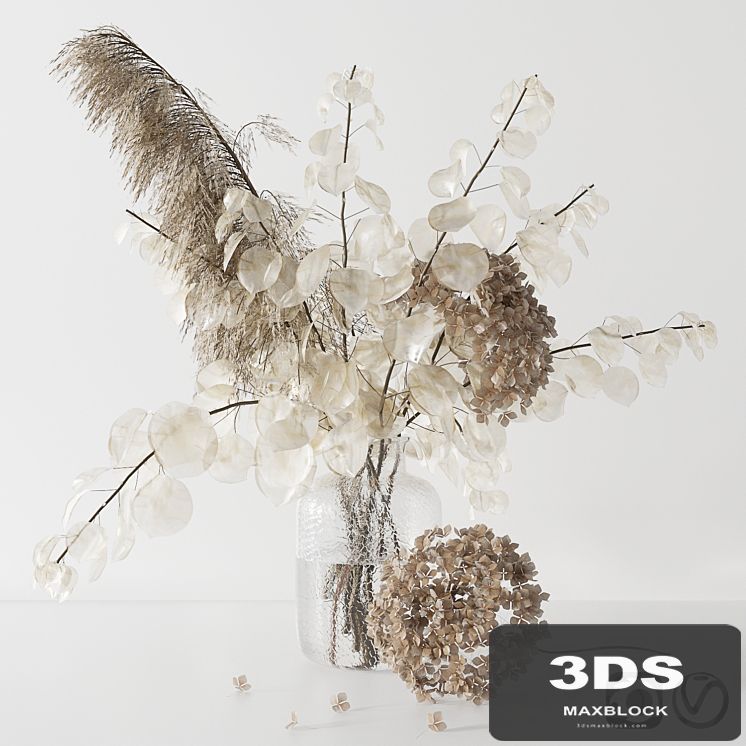 Bouquet with lunaria, pampas grass and hydragea