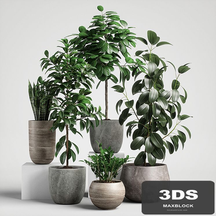 plants set 10