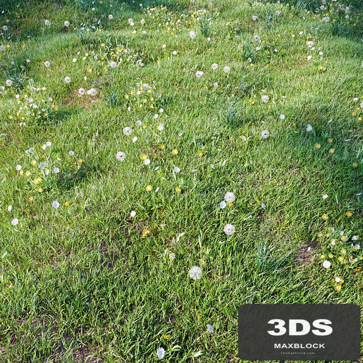 grass_for_landscaping_set03
