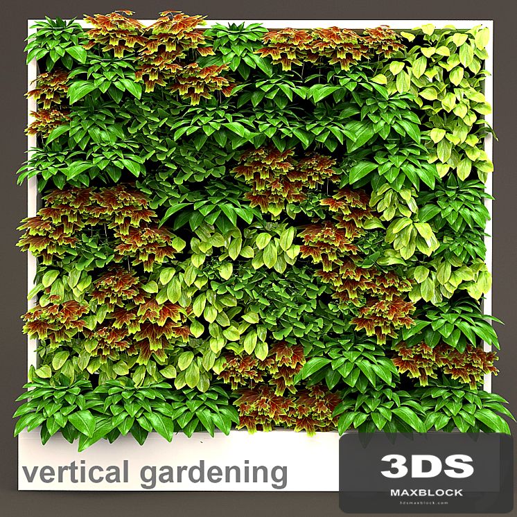 Vertical gardening 3