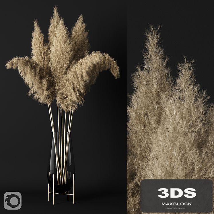 A bunch of pampas