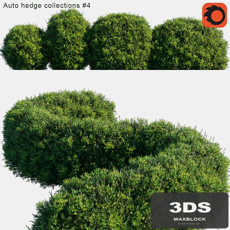 Auto hedge collections # 4