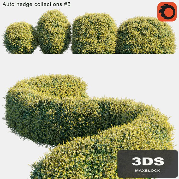 Auto hedge collections # 5
