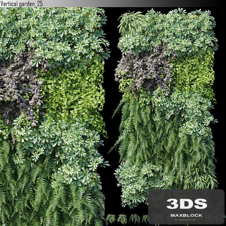 Vertical garden_25