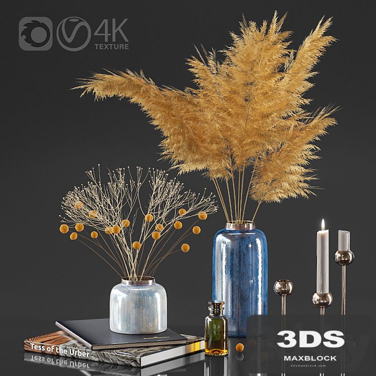 Dry plant decor set