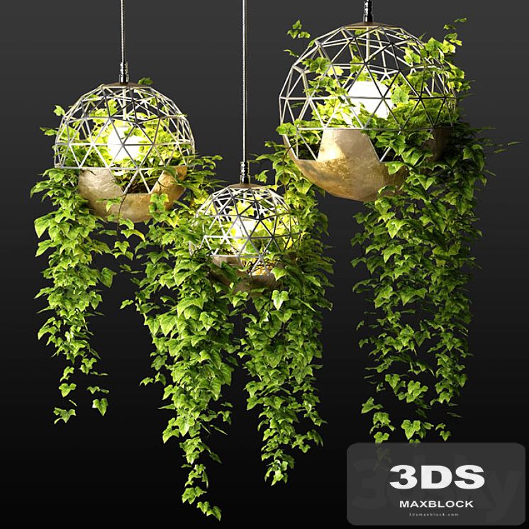 Lamps with hanging plants | The Lighters with a hanging plants