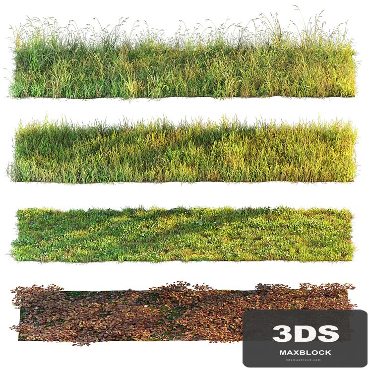 Set of grass and leaves.