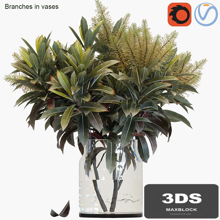 Branches in vases 25