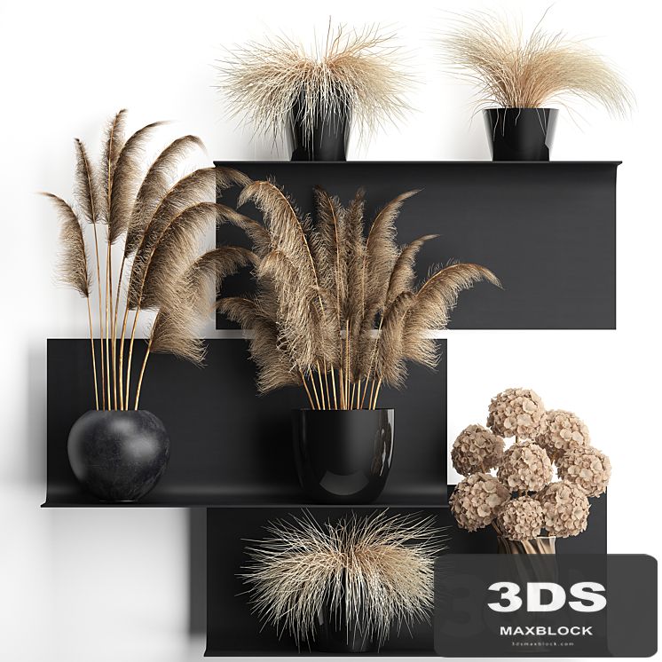 A collection of bouquets of dried flowers in vases on a black metal shelf with pampas, dry hydrangea, Cortaderia. Set 90.