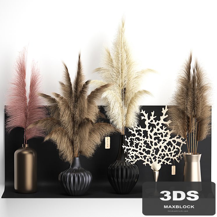 A collection of bouquets of dried flowers in vases on a black metal shelf with pampas, coral, Cortaderia. Set 11.