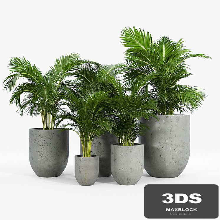Neo planter