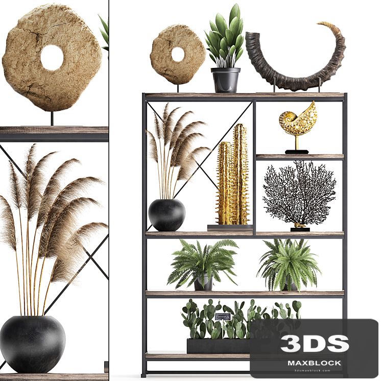 Decorative set 14. Decor shelf, tusk, pampas grass, dried flower, coral, cactus, fern, rack, loft decor
