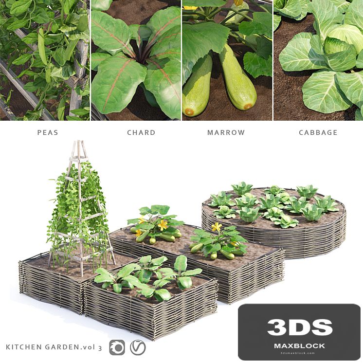 Vegetable garden | Kitchen garden.vol 3