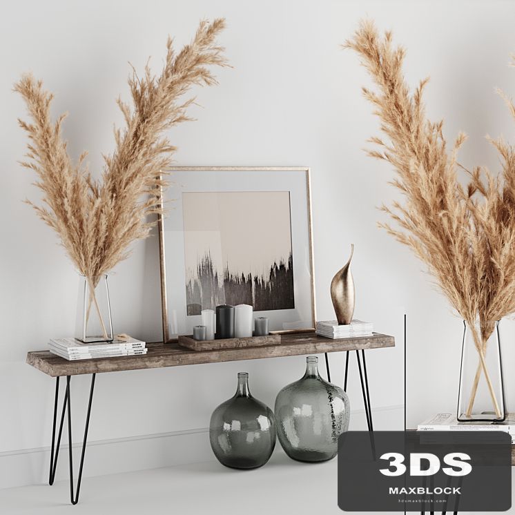 Decoration Set 01 pampas & Console