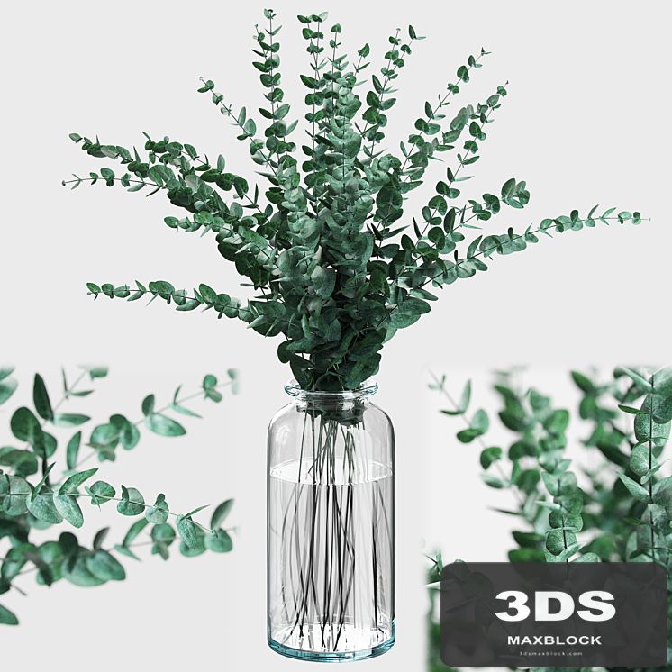 Bouquet of eucalyptus branches