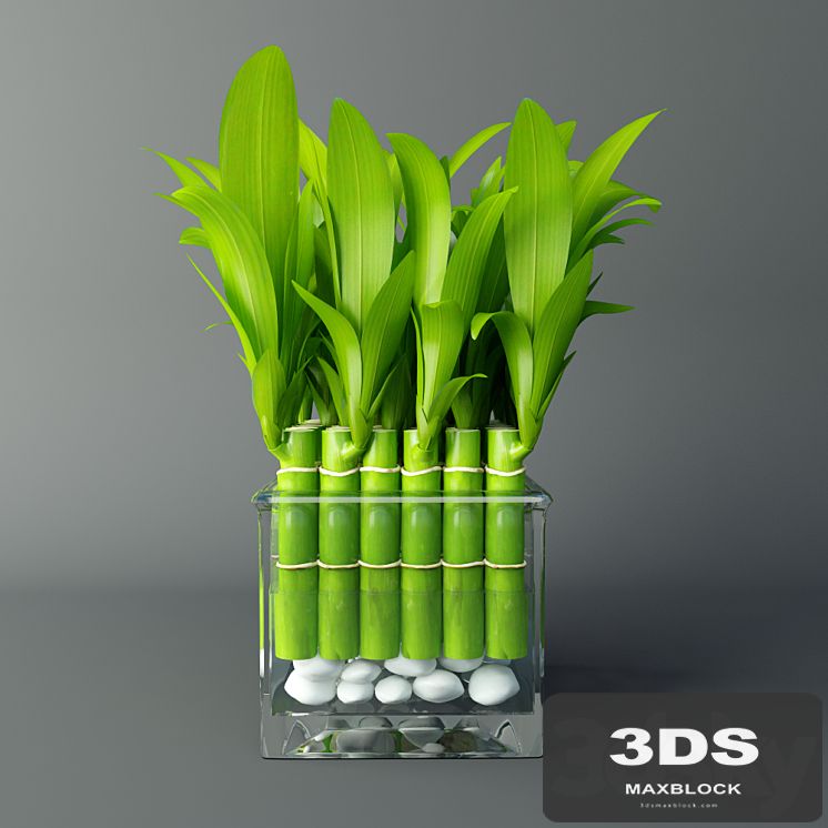 Bamboo room