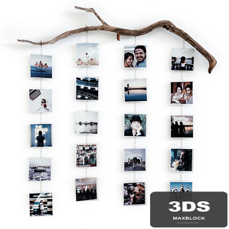 Photo branch