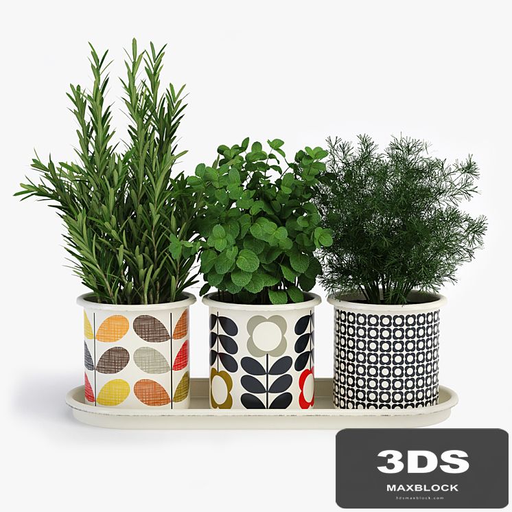 Potted Plants Orla Kiely Herb Pots