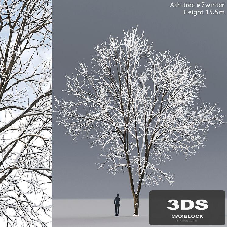 Ash winter