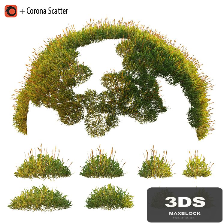 Forest Moss 2