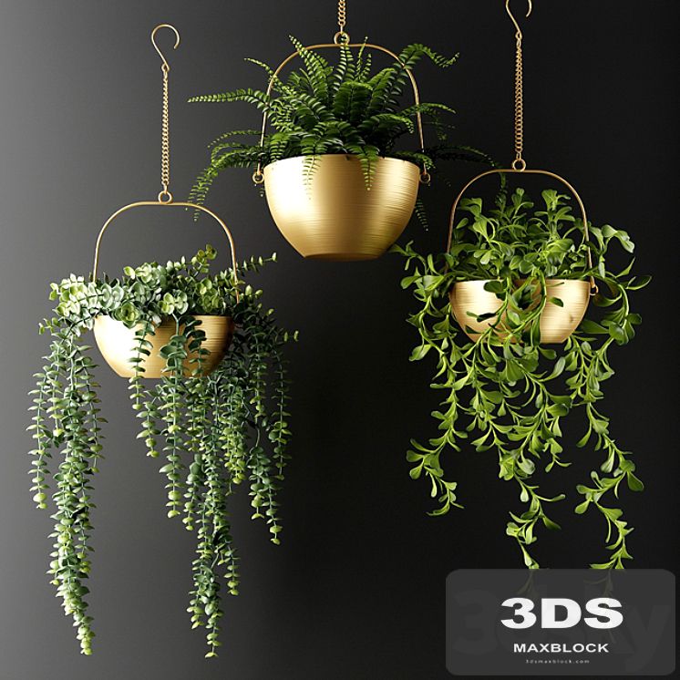 Ampel plants in bronze flower pots | Ampel plants in bronze flower pots