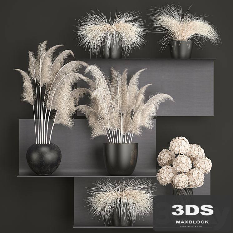 A collection of white bouquets of dried flowers in black vases on a metal shelf with branches of pampas, Pampas grass, Hydrangea. Set 91.