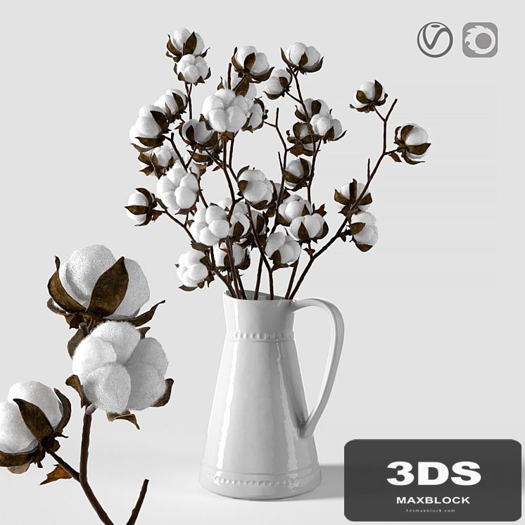 Cotton in a jug