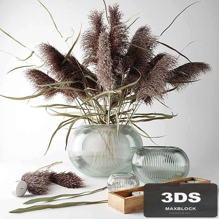 Bouquet of dry grass in a glass vase