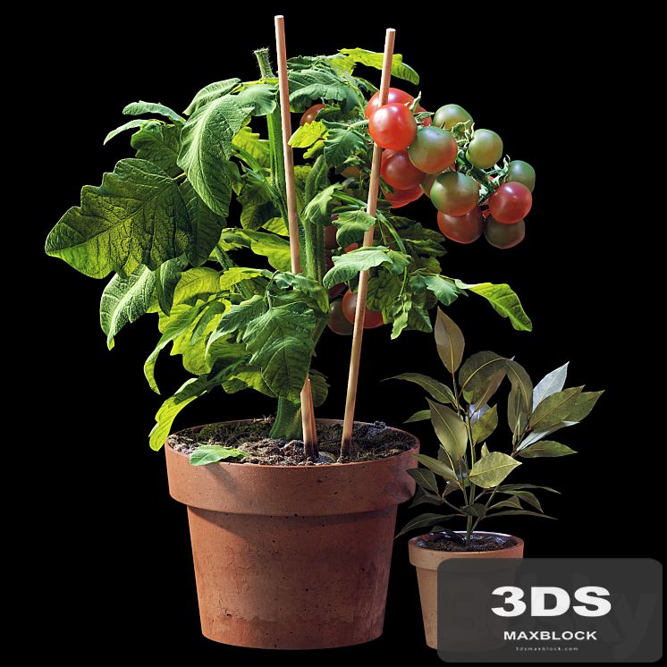 Plant set 06