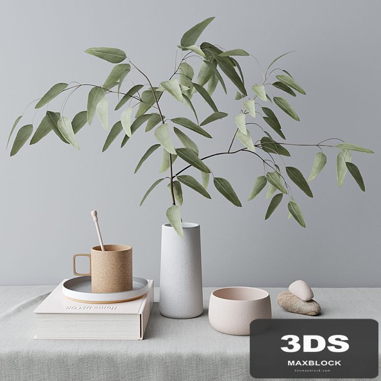 decorative set with eucalyptus branch