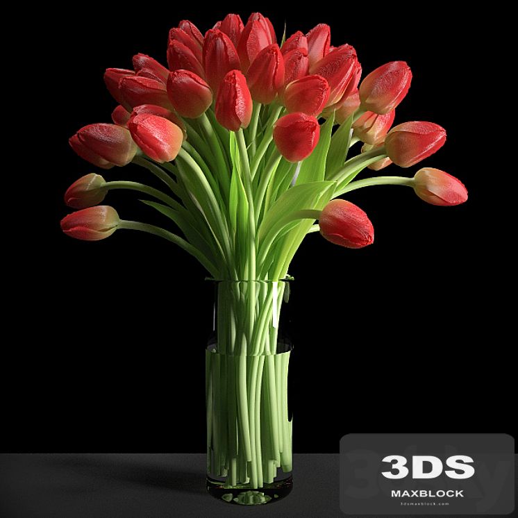 Red Tulips / Red tulips
