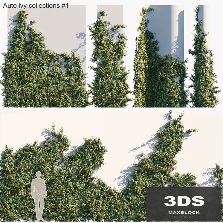 Auto ivy collections # 1