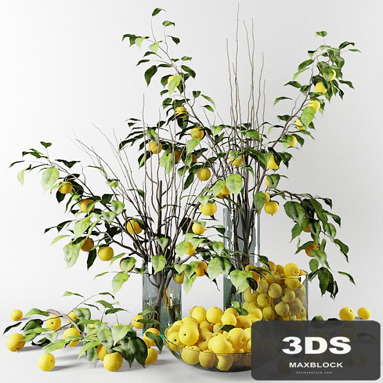 Bouquet of Chinese apple tree branches with yellow apples