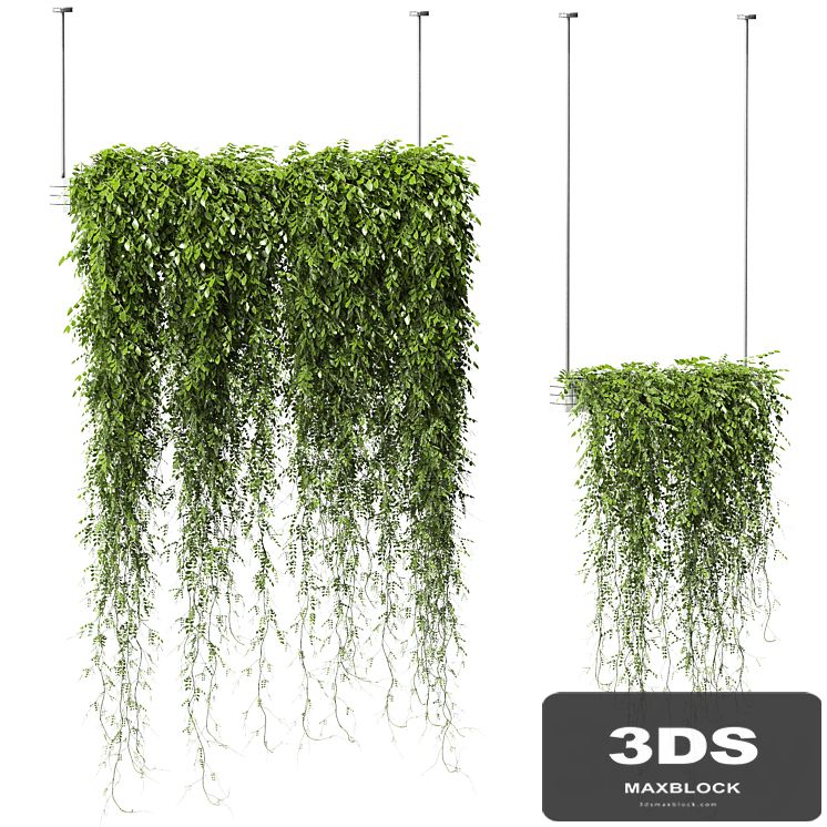 Plants in Hanging Planters v2. 2 models