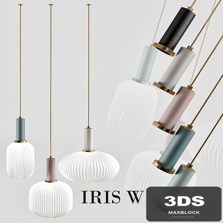iris_w