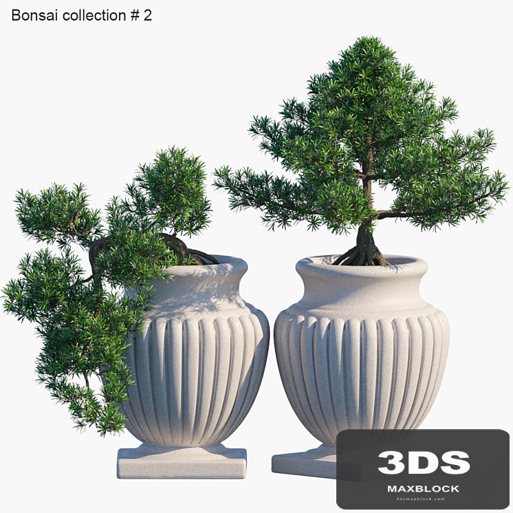 Bonsai collection # 2