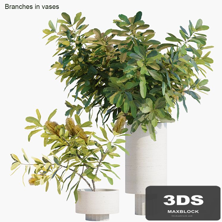 Branches in vases 29